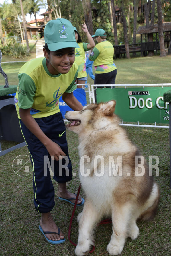 Buy your photos of the eventNR 1 - Cl�ssico  30 A 03/07/19 on Fotop