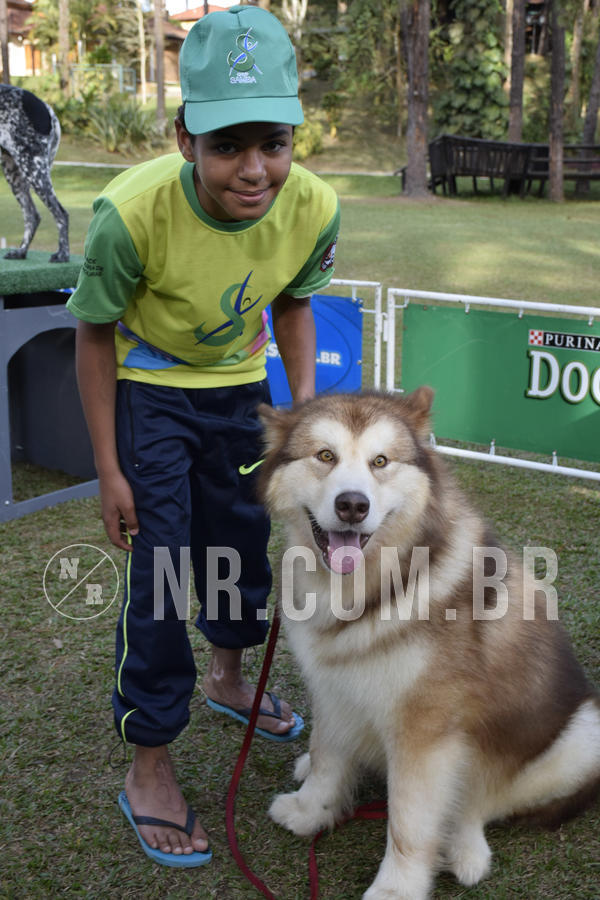 Buy your photos of the eventNR 1 - Cl�ssico  30 A 03/07/19 on Fotop