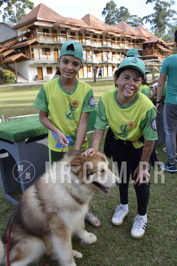 Buy your photos of the eventNR 1 - Cl�ssico  30 A 03/07/19 on Fotop