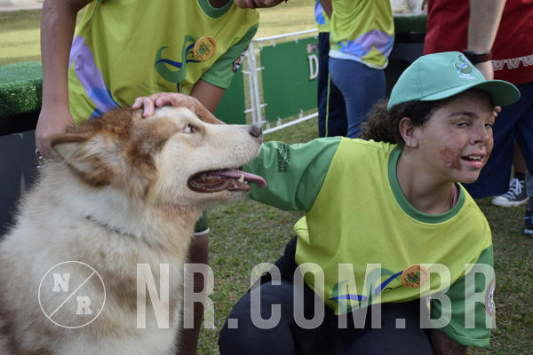 Buy your photos of the eventNR 1 - Cl�ssico  30 A 03/07/19 on Fotop