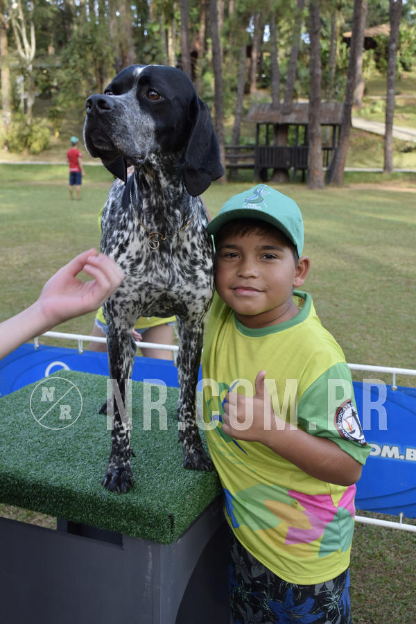 Buy your photos of the eventNR 1 - Cl�ssico  30 A 03/07/19 on Fotop