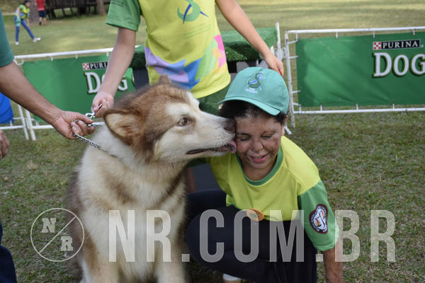 Buy your photos of the eventNR 1 - Cl�ssico  30 A 03/07/19 on Fotop