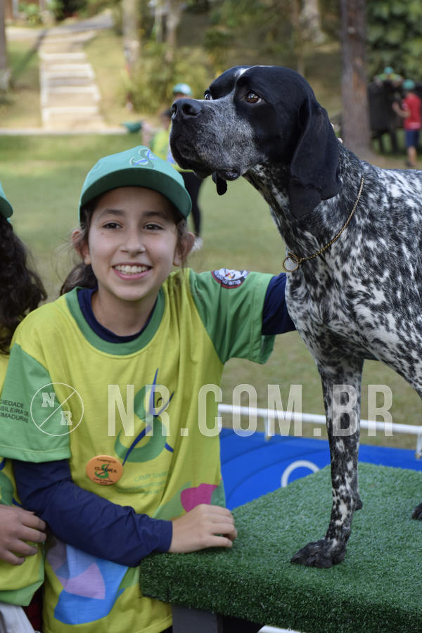 Buy your photos of the eventNR 1 - Cl�ssico  30 A 03/07/19 on Fotop