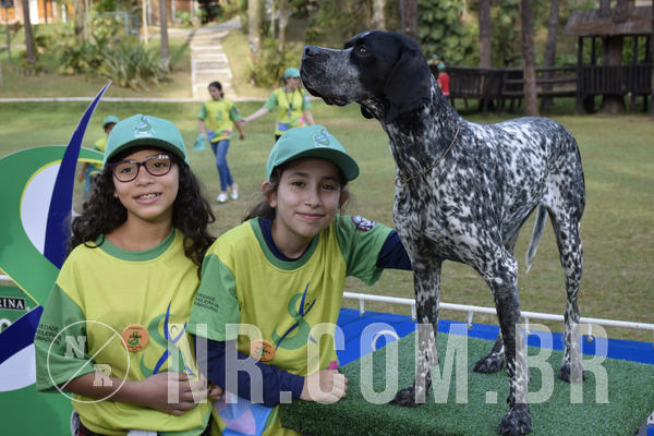 Buy your photos of the eventNR 1 - Cl�ssico  30 A 03/07/19 on Fotop