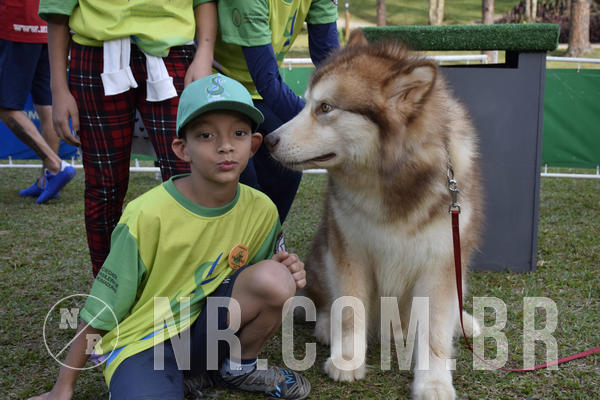 Buy your photos of the eventNR 1 - Cl�ssico  30 A 03/07/19 on Fotop