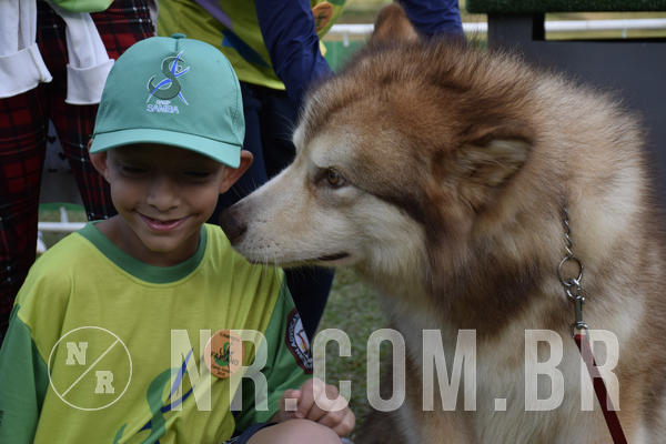 Buy your photos of the eventNR 1 - Cl�ssico  30 A 03/07/19 on Fotop