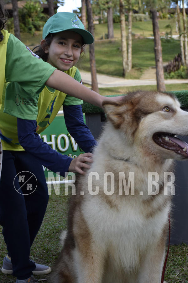 Buy your photos of the eventNR 1 - Cl�ssico  30 A 03/07/19 on Fotop