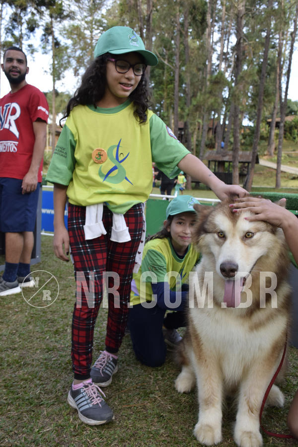 Buy your photos of the eventNR 1 - Cl�ssico  30 A 03/07/19 on Fotop