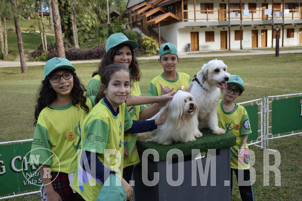 Buy your photos of the eventNR 1 - Cl�ssico  30 A 03/07/19 on Fotop