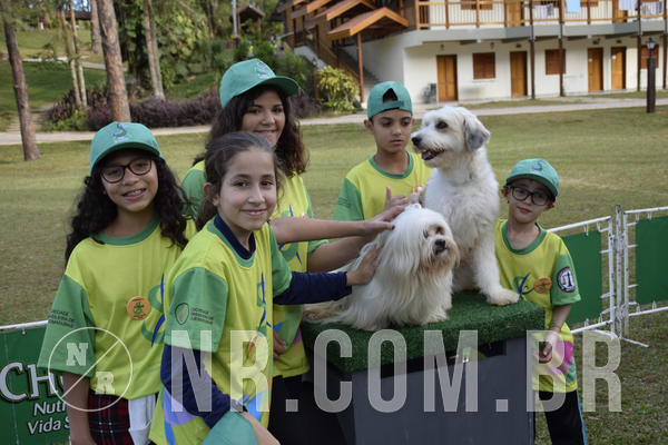 Buy your photos of the eventNR 1 - Cl�ssico  30 A 03/07/19 on Fotop