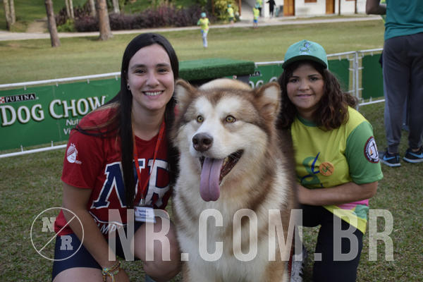 Buy your photos of the eventNR 1 - Cl�ssico  30 A 03/07/19 on Fotop