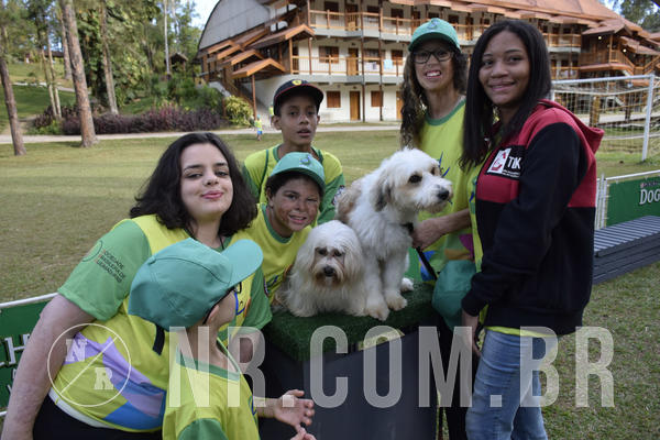 Buy your photos of the eventNR 1 - Cl�ssico  30 A 03/07/19 on Fotop