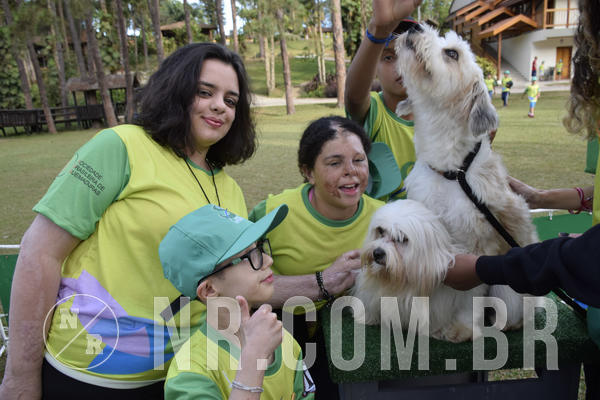 Buy your photos of the eventNR 1 - Cl�ssico  30 A 03/07/19 on Fotop