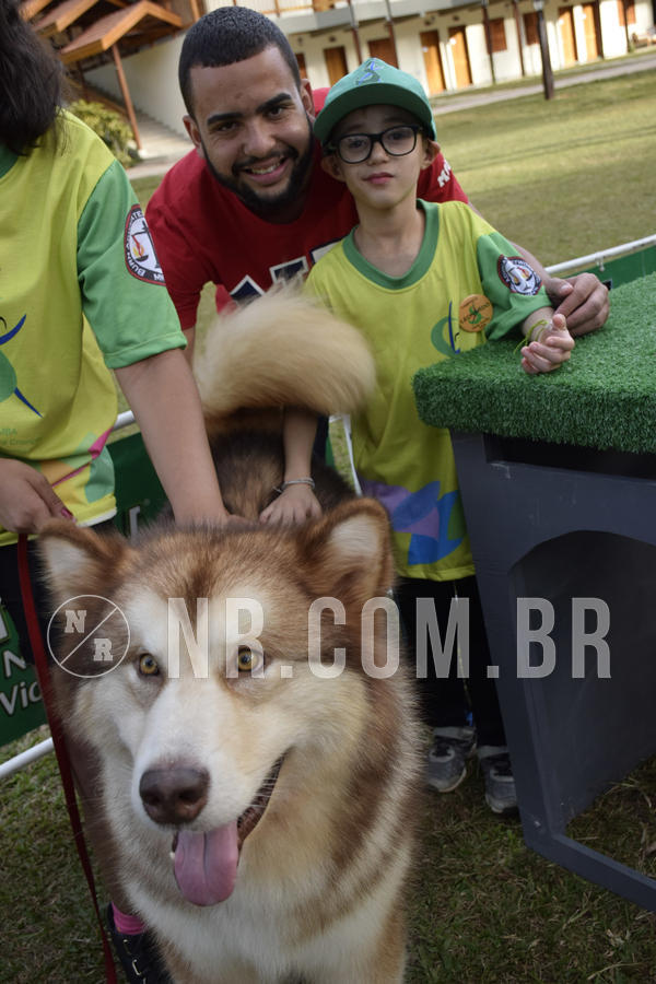 Buy your photos of the eventNR 1 - Cl�ssico  30 A 03/07/19 on Fotop