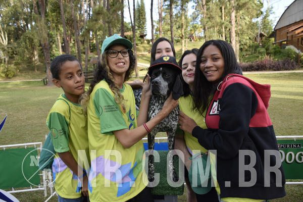 Buy your photos of the eventNR 1 - Cl�ssico  30 A 03/07/19 on Fotop