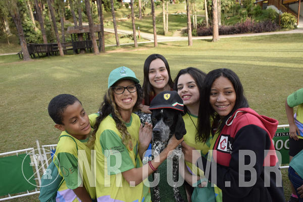 Buy your photos of the eventNR 1 - Cl�ssico  30 A 03/07/19 on Fotop