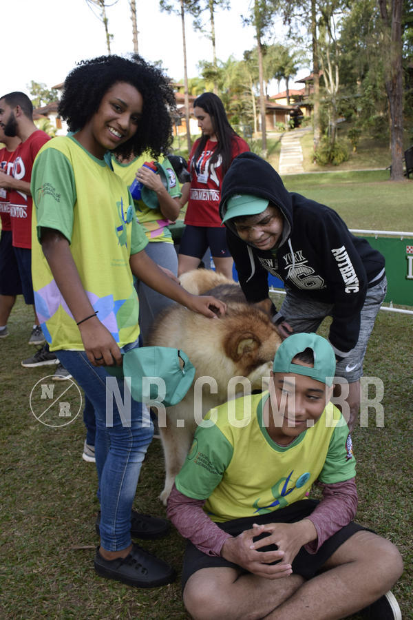 Buy your photos of the eventNR 1 - Cl�ssico  30 A 03/07/19 on Fotop