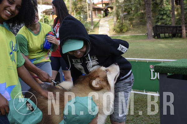 Buy your photos of the eventNR 1 - Cl�ssico  30 A 03/07/19 on Fotop