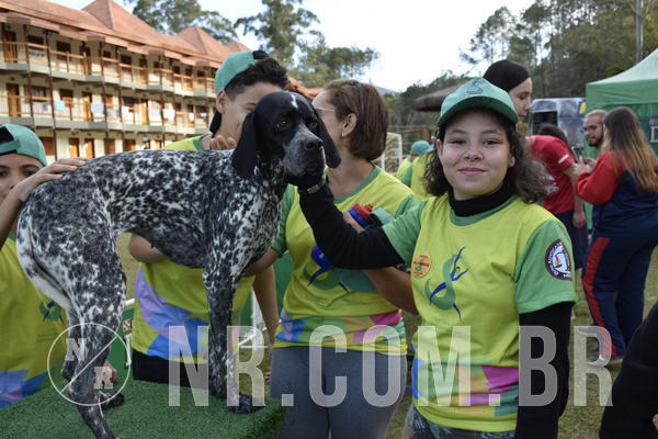 Buy your photos of the eventNR 1 - Cl�ssico  30 A 03/07/19 on Fotop