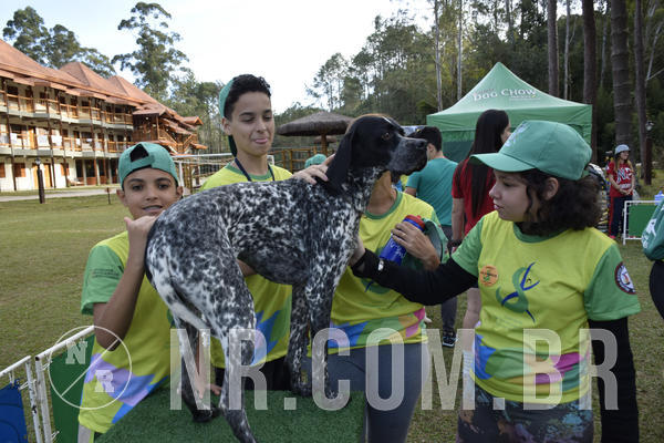 Buy your photos of the eventNR 1 - Cl�ssico  30 A 03/07/19 on Fotop