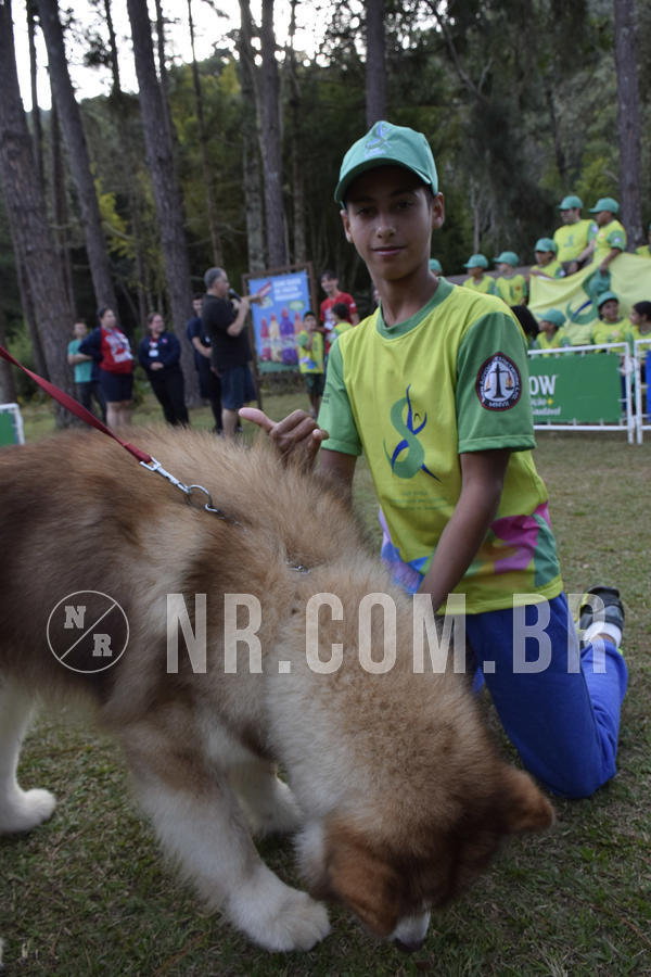 Buy your photos of the eventNR 1 - Cl�ssico  30 A 03/07/19 on Fotop