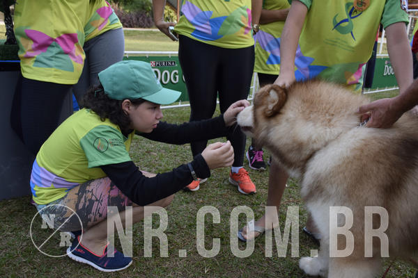 Buy your photos of the eventNR 1 - Cl�ssico  30 A 03/07/19 on Fotop