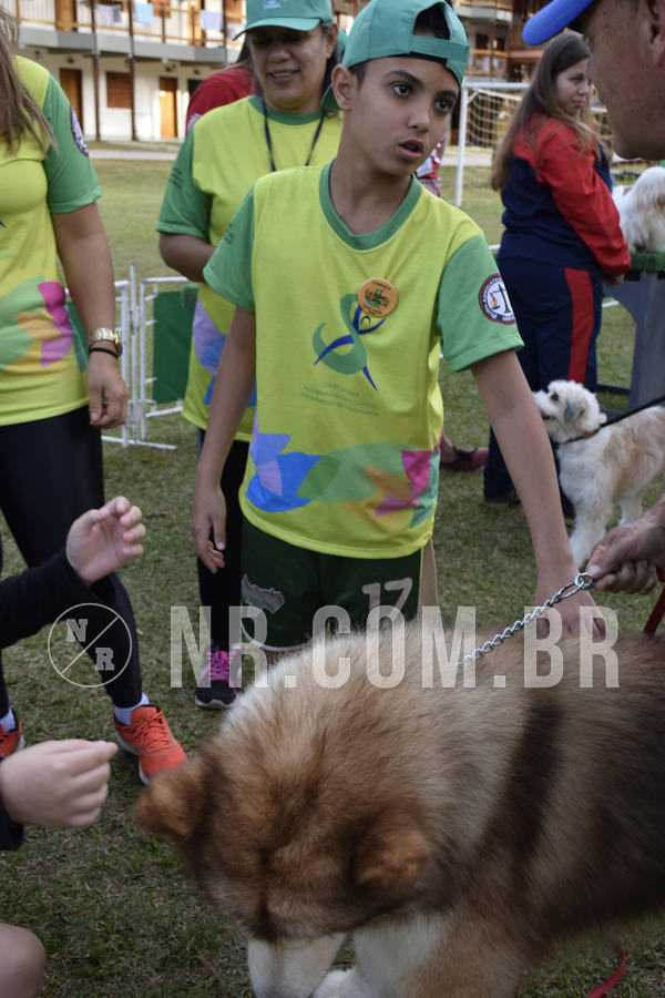 Buy your photos of the eventNR 1 - Cl�ssico  30 A 03/07/19 on Fotop