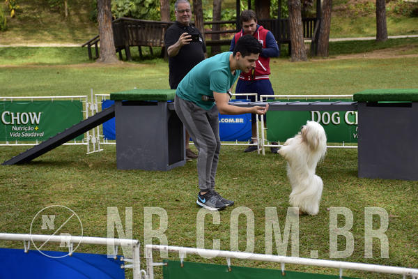 Buy your photos of the eventNR 1 - Cl�ssico  30 A 03/07/19 on Fotop