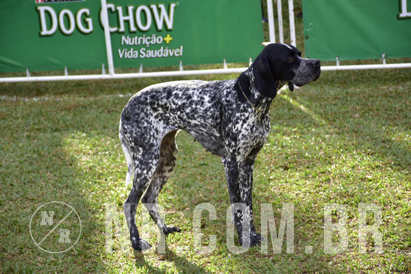 Buy your photos of the eventNR 1 - Cl�ssico  30 A 03/07/19 on Fotop