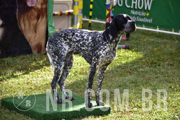 Buy your photos of the eventNR 1 - Cl�ssico  30 A 03/07/19 on Fotop