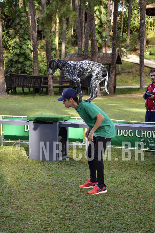 Buy your photos of the eventNR 1 - Cl�ssico  30 A 03/07/19 on Fotop