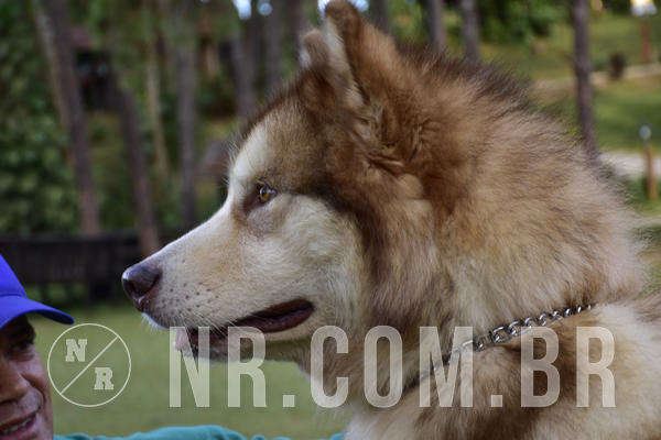 Buy your photos of the eventNR 1 - Cl�ssico  30 A 03/07/19 on Fotop