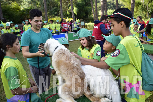 Buy your photos of the eventNR 1 - Cl�ssico  30 A 03/07/19 on Fotop