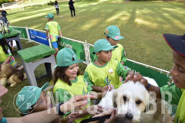 Buy your photos of the eventNR 1 - Cl�ssico  30 A 03/07/19 on Fotop