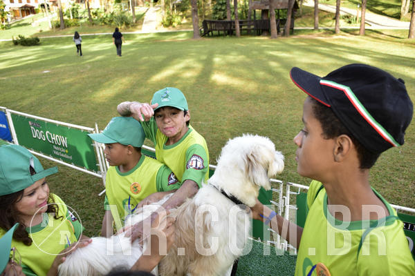 Buy your photos of the eventNR 1 - Cl�ssico  30 A 03/07/19 on Fotop