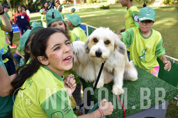 Buy your photos of the eventNR 1 - Cl�ssico  30 A 03/07/19 on Fotop