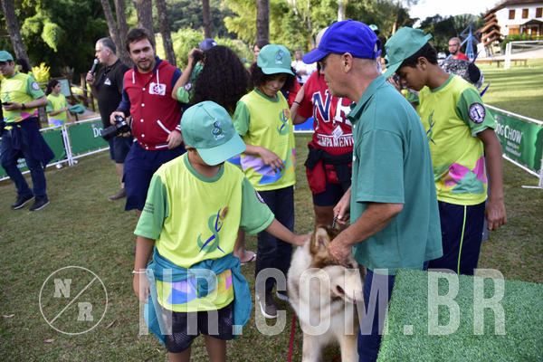 Buy your photos of the eventNR 1 - Cl�ssico  30 A 03/07/19 on Fotop