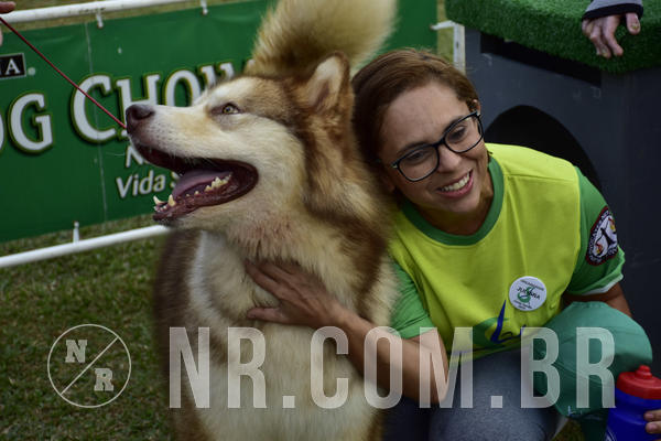 Buy your photos of the eventNR 1 - Cl�ssico  30 A 03/07/19 on Fotop