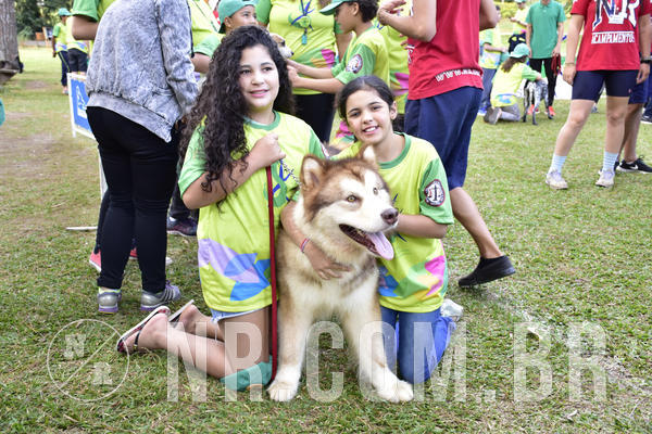 Buy your photos of the eventNR 1 - Cl�ssico  30 A 03/07/19 on Fotop