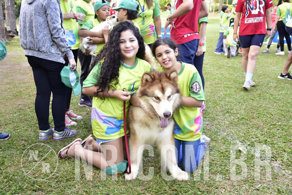 Buy your photos of the eventNR 1 - Cl�ssico  30 A 03/07/19 on Fotop