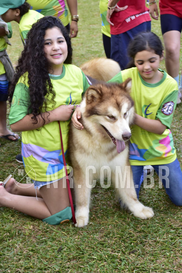 Buy your photos of the eventNR 1 - Cl�ssico  30 A 03/07/19 on Fotop