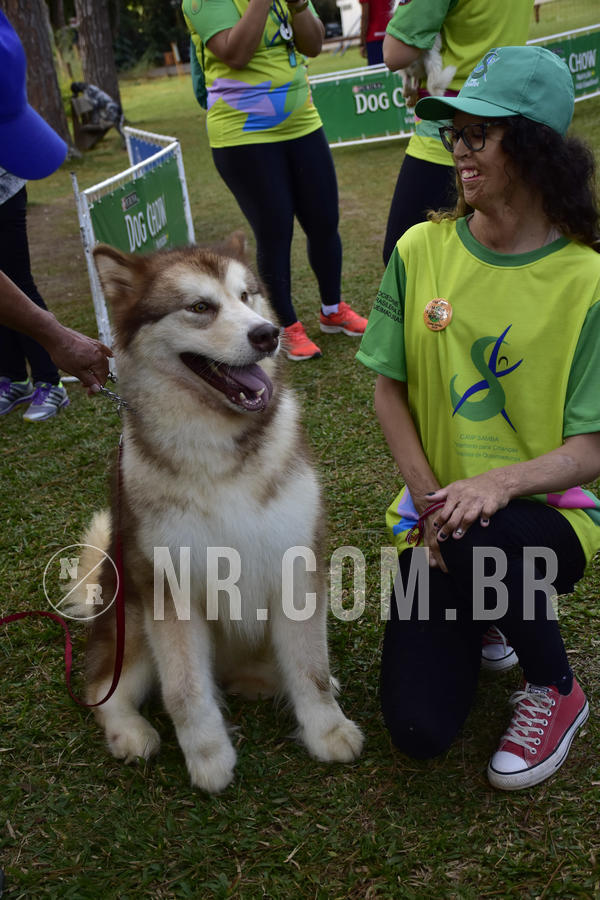 Buy your photos of the eventNR 1 - Cl�ssico  30 A 03/07/19 on Fotop
