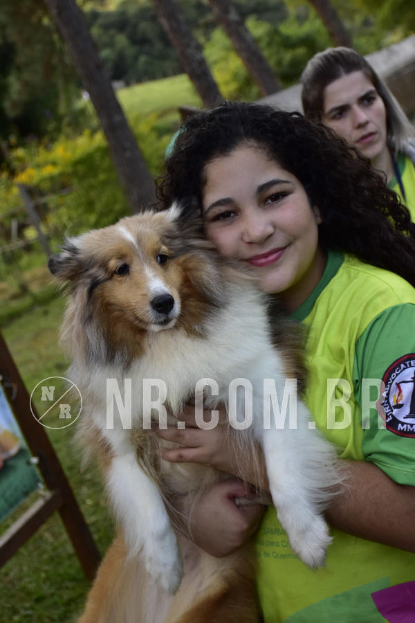 Buy your photos of the eventNR 1 - Cl�ssico  30 A 03/07/19 on Fotop