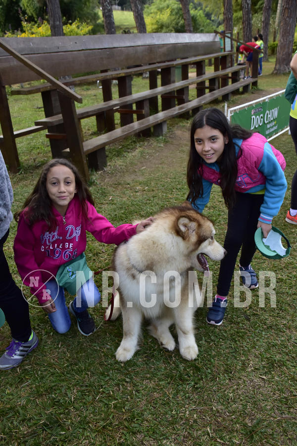 Buy your photos of the eventNR 1 - Cl�ssico  30 A 03/07/19 on Fotop