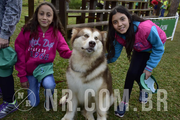 Buy your photos of the eventNR 1 - Cl�ssico  30 A 03/07/19 on Fotop