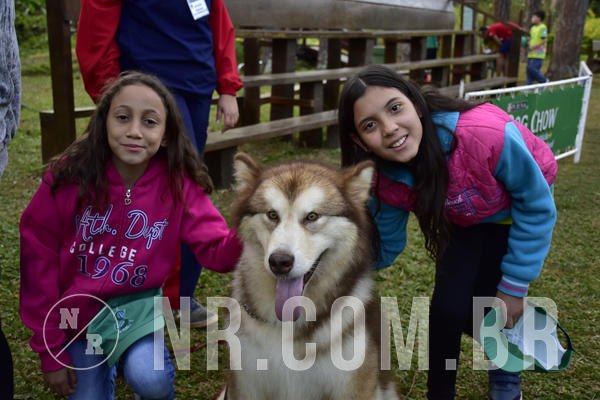 Buy your photos of the eventNR 1 - Cl�ssico  30 A 03/07/19 on Fotop