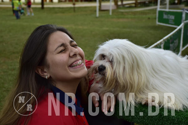 Buy your photos of the eventNR 1 - Cl�ssico  30 A 03/07/19 on Fotop