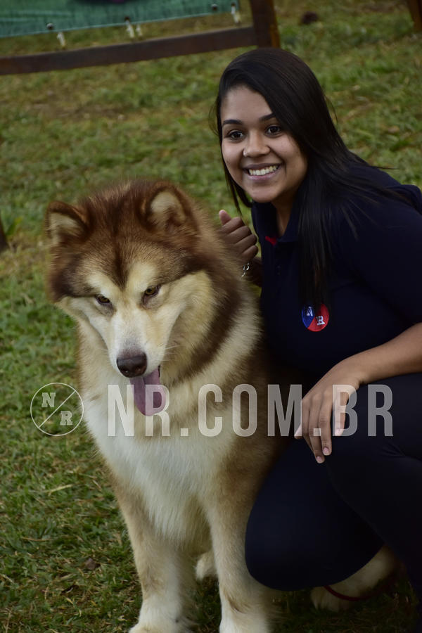 Buy your photos of the eventNR 1 - Cl�ssico  30 A 03/07/19 on Fotop