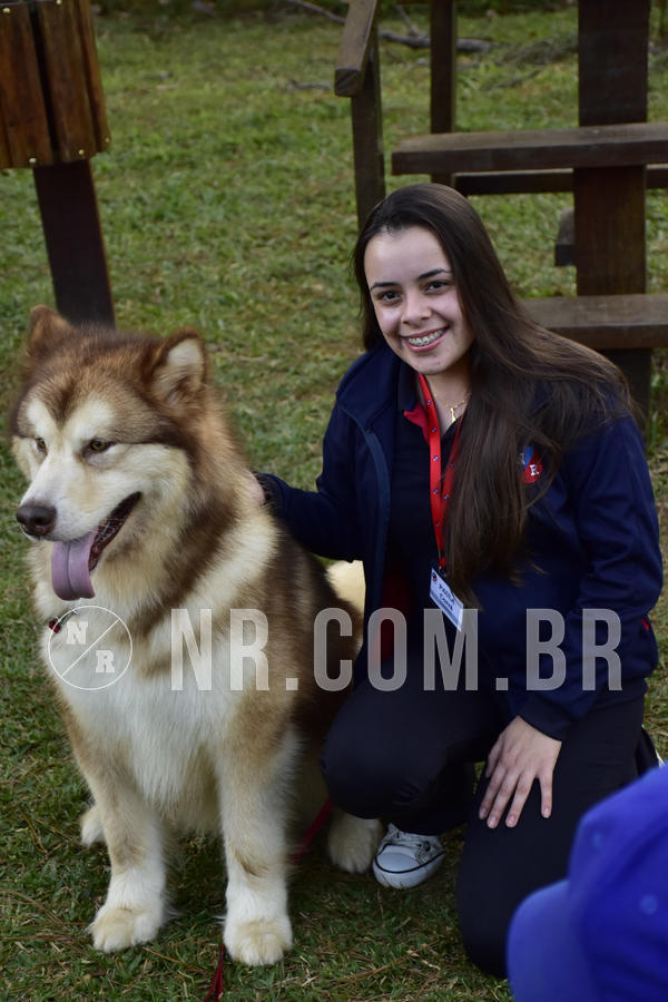 Buy your photos of the eventNR 1 - Cl�ssico  30 A 03/07/19 on Fotop