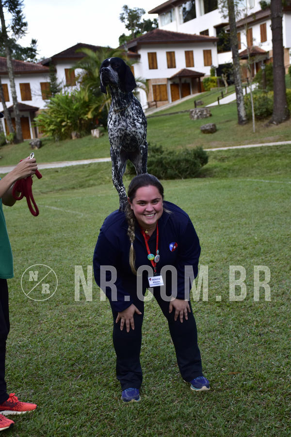 Buy your photos of the eventNR 1 - Cl�ssico  30 A 03/07/19 on Fotop